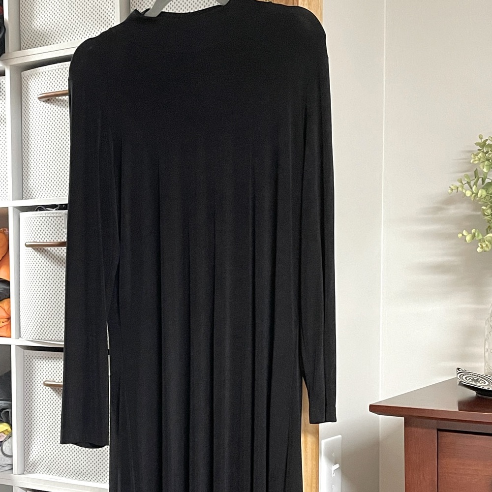 Black Carolyn Strauss XL long-sleeved dress with short mock turtleneck.
